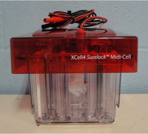 Электрофорезная вертикальная камера XCell SureLock Midi-Cell, 8х13 см, 4 геля, Thermo FS