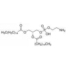 1,2-дипальмитоил-sn-глицеро-3-фосфоэтаноламин 97% Sigma P1348