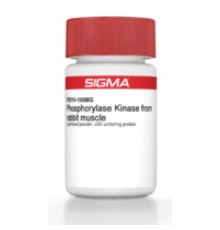 Фосфорилаза-киназа из лиофилизированного порошка мышечной ткани кролика, 60 единиц / мг белка Sigma P2014