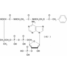 Литиевая соль фенилацетил-кофермента А ~ 95% Sigma P2153