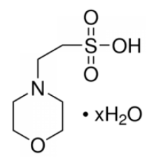 Гидрат MES 99,5% (титрование), pH 2,5-4,0 (0,5 мкМ в H2O), BioXtra Sigma M5287