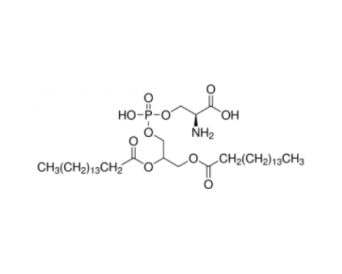1,2-дипальмитоил-рац-глицеро-3-фосфо-L-серин ~ 98% Sigma P1902