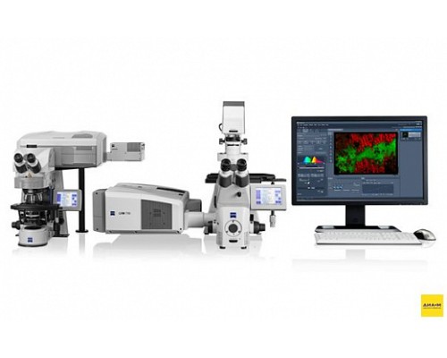 Микроскоп конфокальный LSM 710, лазерный сканирующий, Zeiss
