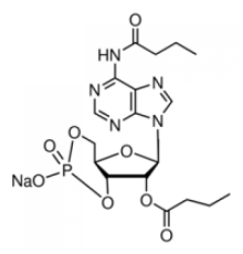 N6,2'-O-Дибутириладенозин 3 ', 5'-циклическая натриевая соль монофосфата 96% (ВЭЖХ), порошок Sigma D0627