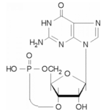 Гуанозин 3 ', 5'-циклический монофосфат 98% (ВЭЖХ), порошок Sigma G7504