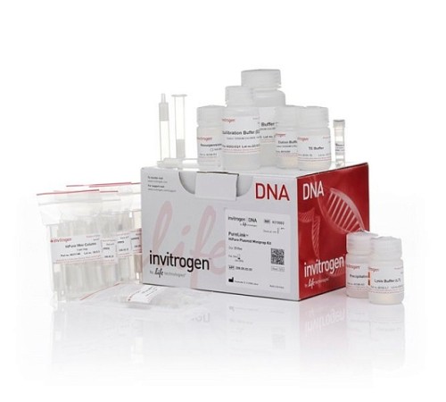 Набор PureLink HiPure Plasmid Miniprep Kit, Thermo FS