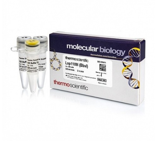 Эндонуклеаза рестрикции Lsp1109I (BbvI), 5 е.а./мкл, Fermentas, Thermo FS Эндонуклеаза рестрикции Lsp1109I (BbvI), 5 е.а./мкл, Fermentas, Thermo FS